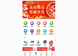 網(wǎng)拍電商平臺交易平臺系統(tǒng)制作開發(fā)